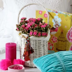 Kalanchoe 'Calandiva'®, Violett, Topf-Ø 12 Cm, Höhe Ca. 27,5 Cm, 6er-Set -Gartengeschäft 0210350159 Kalanchoe cal violett2