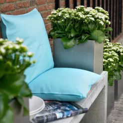 Kalanchoe 'Calandiva'®, Weiß, Topf-Ø 12 Cm, Höhe Ca. 27,5 Cm, 6er-Set 11 Kalanchoe 'Calandiva'®, Weiß, Topf-Ø 12 Cm, Höhe Ca. 27,5 Cm, 6er-Set -Gartengeschäft 0210350168 Kalanchoe Cal weiss2