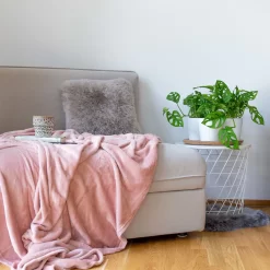 Monstera Adansonii Mit Keramiktopf Weiß, Topf-Ø 12 Cm, Höhe Ca. 25 Cm, 3er-Set 18 Monstera Adansonii Mit Keramiktopf Weiß, Topf-Ø 12 Cm, Höhe Ca. 25 Cm, 3er-Set -Gartengeschäft 0220350047 Monstera adansonii in Topf Dallas weiss 3er Set Monstera Dallas 22