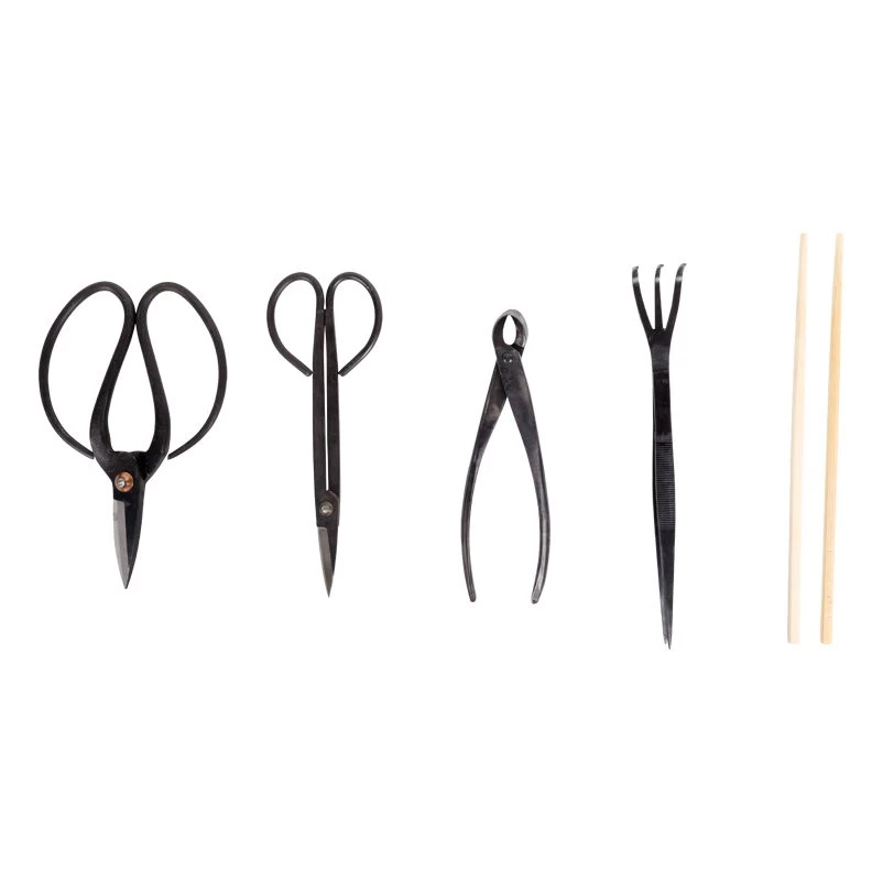 Werkzeugset Für Die Bonsaipflege, 5-teilig, Mit Aufbewahrungstasche 3 Werkzeugset Für Die Bonsaipflege, 5-teilig, Mit Aufbewahrungstasche – Bild 3