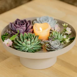 Schnittecheverien-Mix, Ø 12 Cm, 4er-Set -Gartengeschäft 0250103364 Echeveria Mix 7 10cm in DIY Box 4 117171 1