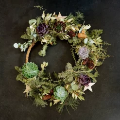 Schnittecheverien-Mix, Ø 12 Cm, 4er-Set -Gartengeschäft 0250103364 Echeveria Mix 7 10cm in DIY Box 5 117175 1