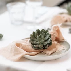 Schnittecheverien-Mix, Ø 12 Cm, 4er-Set -Gartengeschäft 0250103364 Echeveria Mix 7 10cm in DIY Box 7 117173 1