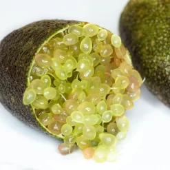 Fingerlimette, Topf-Ø 20 Cm, Höhe Ca.60 Cm -Gartengeschäft 0630100735 Citrus australasica Stamm T20 H60 70 WS 2 98315