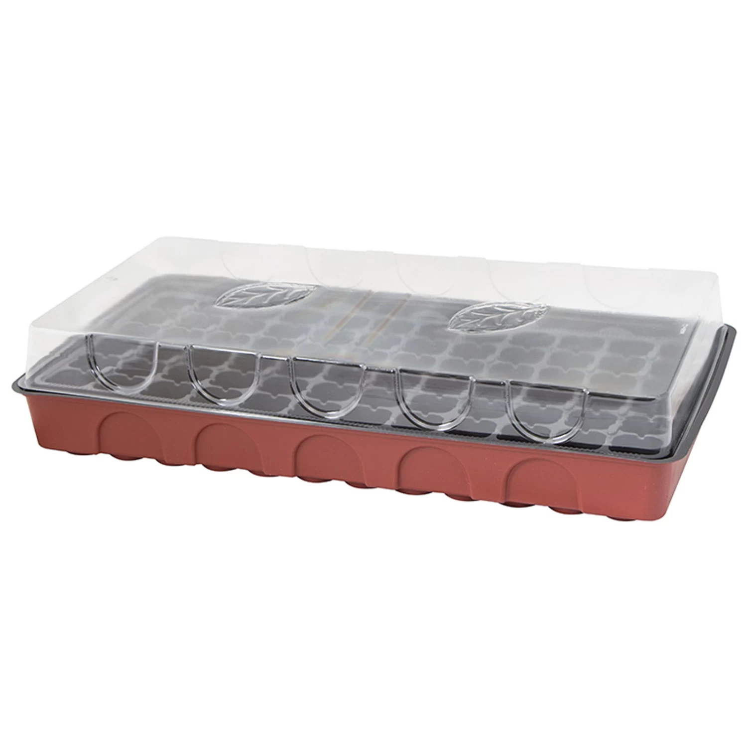 Anzuchtgewächshaus Mit Deckel & Topfplatte, 72 Töpfe Gelocht, Bordeaux 2 Anzuchtgewächshaus Mit Deckel & Topfplatte, 72 Töpfe Gelocht, Bordeaux – Bild 2