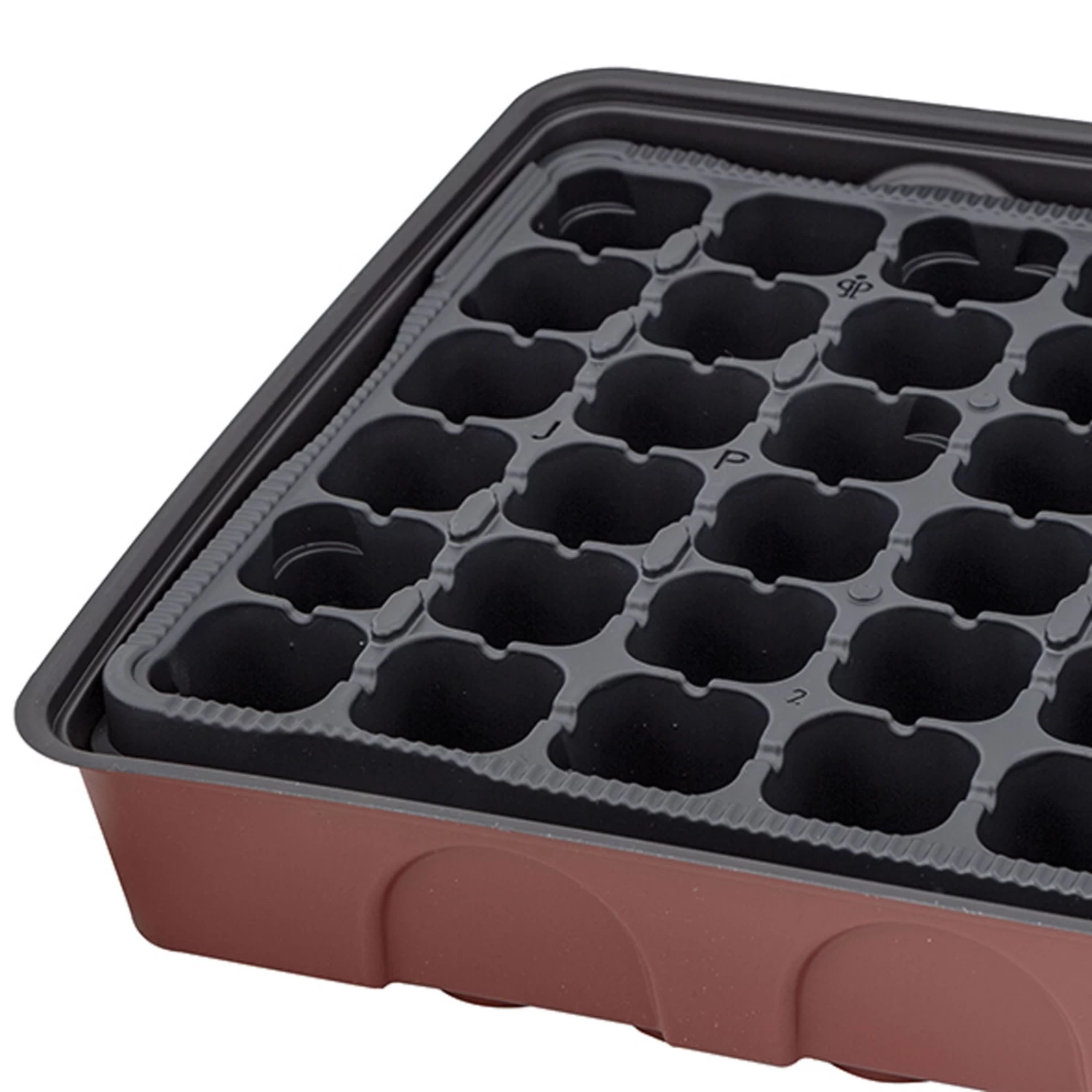 Anzuchtgewächshaus Mit Deckel & Topfplatte, 72 Töpfe Gelocht, Bordeaux 4 Anzuchtgewächshaus Mit Deckel & Topfplatte, 72 Töpfe Gelocht, Bordeaux – Bild 4