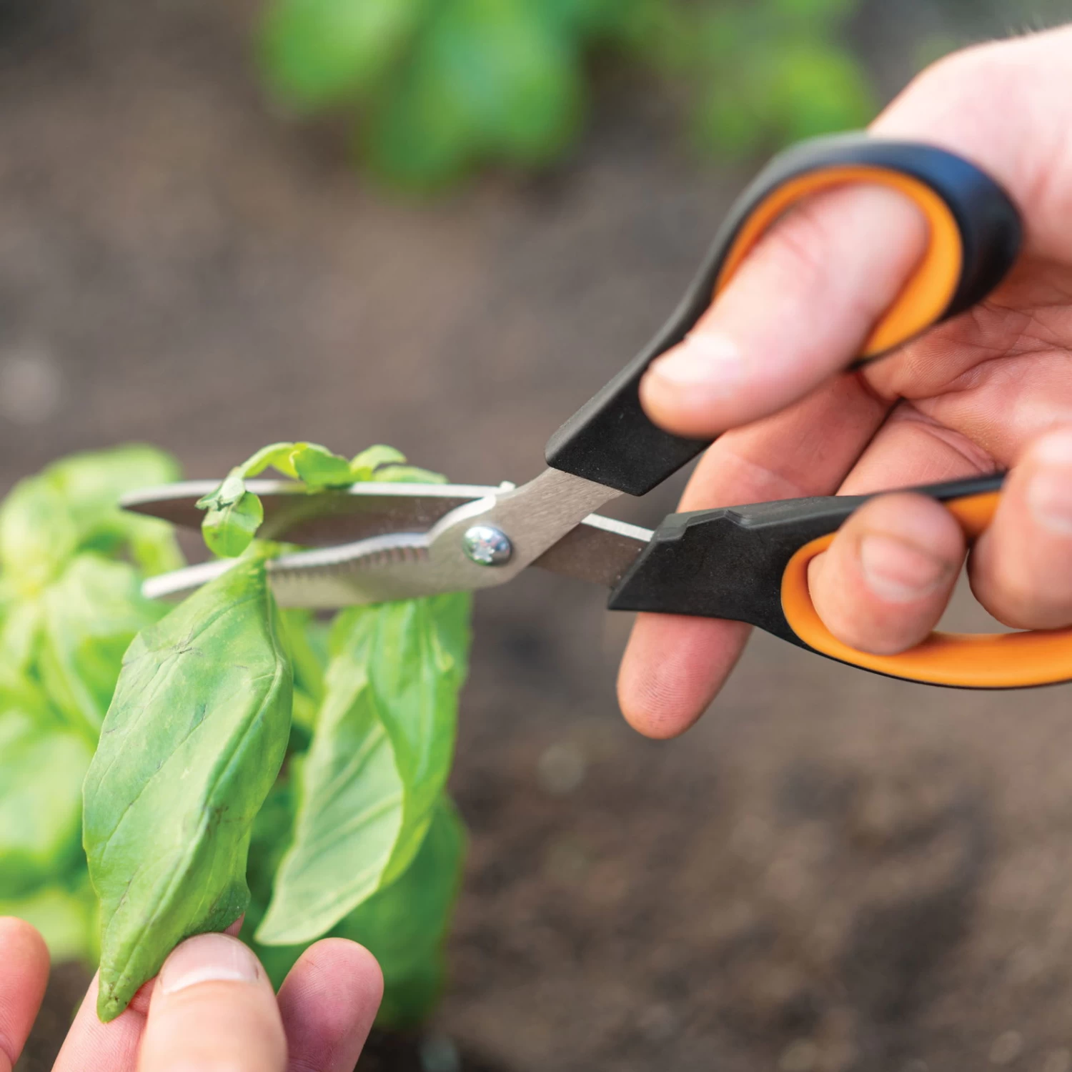 Gemüseschere Solid™ SP240, Schwarz/orange, Ca. 20 X 2 X 9 Cm 1 Gemüseschere Solid™ SP240, Schwarz/orange, Ca. 20 X 2 X 9 Cm
