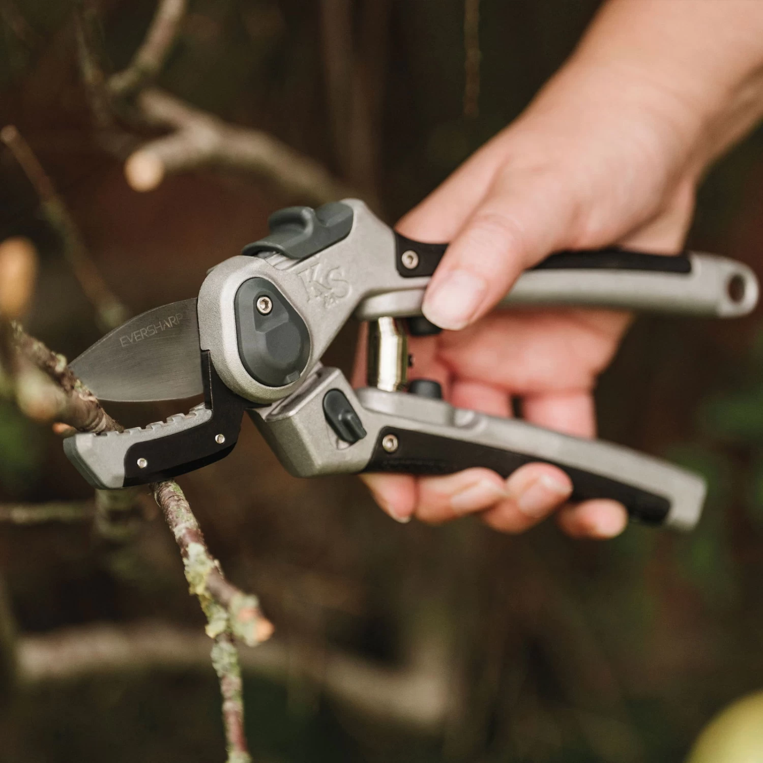 Gartenschere 'Eversharp Amboss', Carbonstahl 1 Gartenschere 'Eversharp Amboss', Carbonstahl