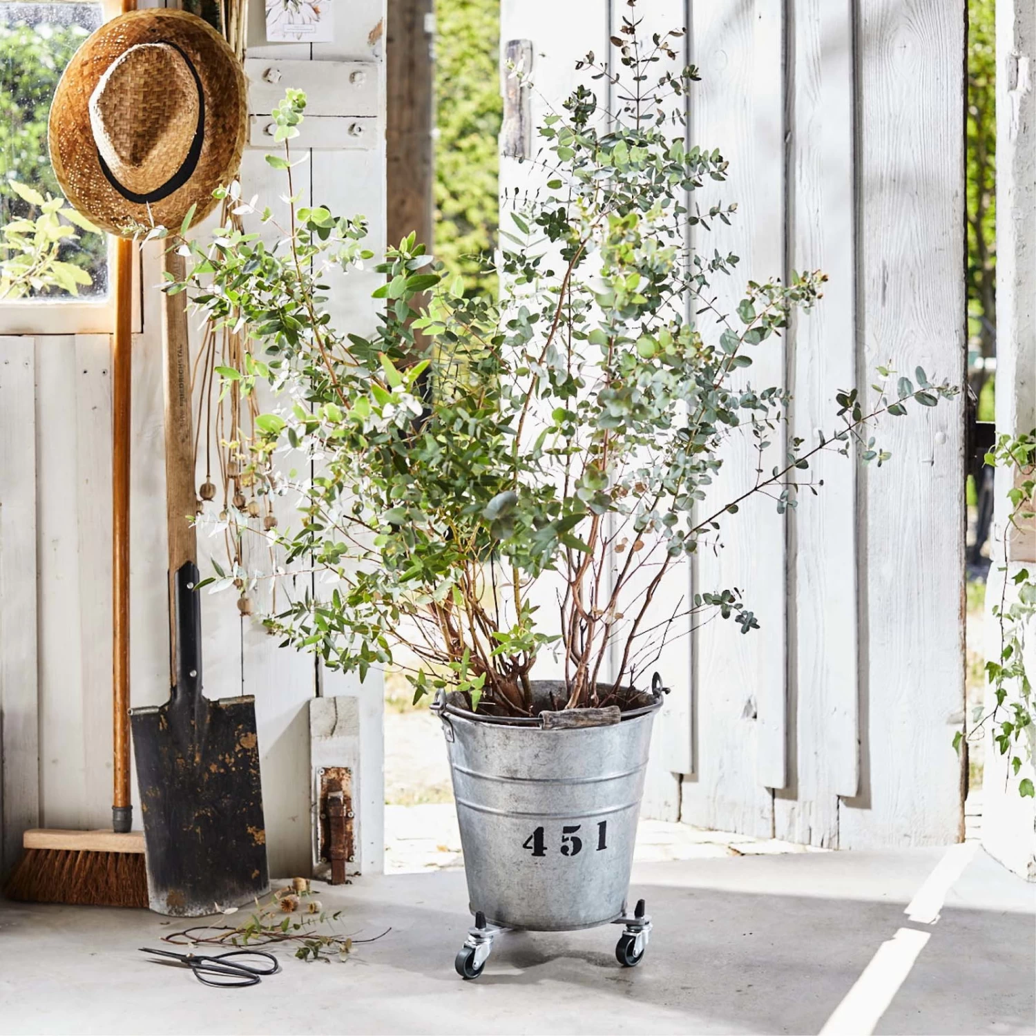 Multi Roller Sun City, Tragkraft 75 Kg, Stahl, Ca. 6 X 26,5-37,5 Cm 2 Multi Roller Sun City, Tragkraft 75 Kg, Stahl, Ca. 6 X 26,5-37,5 Cm – Bild 2