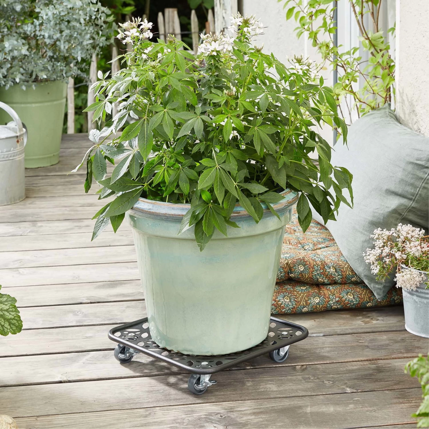 Pflanzenroller GH0936/0937, Tragkraft 80 Kg, Schwarz, Ø 30 Cm 2 Pflanzenroller GH0936/0937, Tragkraft 80 Kg, Schwarz, Ø 30 Cm – Bild 2