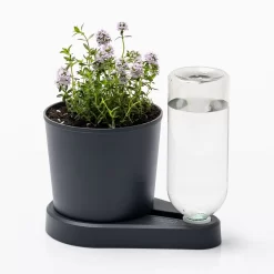 Kräuterheld, Anthrazit, PP/PET, 14 X 14 X 22 Cm -Gartengeschäft 0930101631 Kraeuterheld anthrazit1 116321