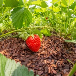 Plantavital Rindenmulch Fein, 2280l, 57 Sack á 40l -Gartengeschäft 0960 rindenmulch 2 125173