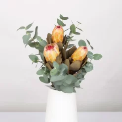 Blumenbund Protea & Eukalyptus, Inkl. Gratis Grußkarte