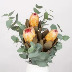 Blumenbund Protea & Eukalyptus, Inkl. Gratis Grußkarte -Gartengeschäft 1025700019 Strauss Protea Grandiflora 1 101679