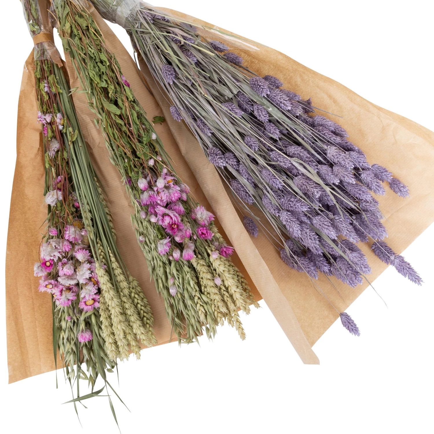 Rosa Trockenstrauß & Lila Glanzgras, 3er-Set, Länge Ca. 55 - 70 Cm 2 Rosa Trockenstrauß & Lila Glanzgras, 3er-Set, Länge Ca. 55 - 70 Cm – Bild 2