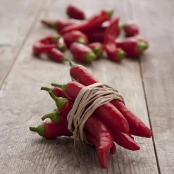 Blu Bio Chilipflanze Zwerg-Chili, Topf-Ø 12 Cm, 3er Set -Gartengeschäft 1620330132 Blu Bio Zwerg Chili mit Fruechte T12 3er Set extra scharf 12 124310