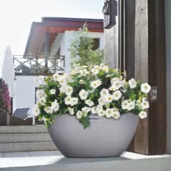 LECHUZA® Pflanzschale Cubeto Steingrau