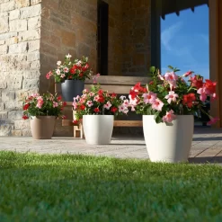 LECHUZA Pflanztopf 'Classico Color 60', Grau, Ø 60 X H 55,5 Cm 5 LECHUZA Pflanztopf 'Classico Color 60', Grau, Ø 60 X H 55,5 Cm -Gartengeschäft 3210103919 Pflanzgefaess Classico Color 60 All in 1 schiefergrau 3 109198