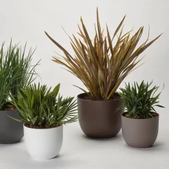 Pflanzkübel 'Rio', Weiß, Ø 39 X H 32,5 Cm 9 Pflanzkübel 'Rio', Weiß, Ø 39 X H 32,5 Cm -Gartengeschäft 3210104130 3210104131 3210104132 3210104133 pflanzkuebel rio 122622 1