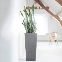 Pflanzgefäß 'Rotterdam MidHigh', Grau -Gartengeschäft 3210104153 pflanzgefaess rotterdam high 1 117471