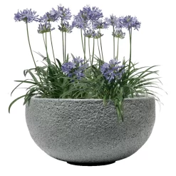 Pflanzschale Rock Line Banham, Granitgrau, Glasfaserverstärkter Kunststoff