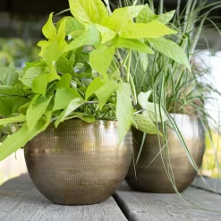 Pflanzgefäß 'Rowen', Gold, Ø 22 X H 17 Cm -Gartengeschäft 3210801609 Pflanzgefaess Rowen gold D 22 x H 17 cm 1 114969