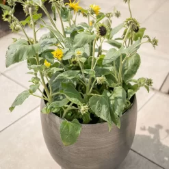 Pflanzgefäß 'Rowen', Silber, Ø 50 X H 47 Cm 13 Pflanzgefäß 'Rowen', Silber, Ø 50 X H 47 Cm -Gartengeschäft 3210801625 3210801626 3210801627 3210801628 Pflanzgefaess Rowen silber 6 115002