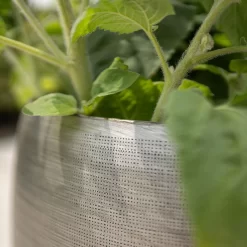 Pflanzgefäß 'Rowen', Silber, Ø 31 X H 28 Cm -Gartengeschäft 3210801625 3210801626 3210801627 3210801628 Pflanzgefaess Rowen silber 9 115005 1