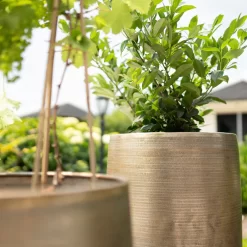 Pflanzgefäß 'Rowen', Gold, Ø 38 X H 62 Cm -Gartengeschäft 3210801630 3210801631 3210801632 3210801633 Pflanzgefaess Rowen gold 2 115015