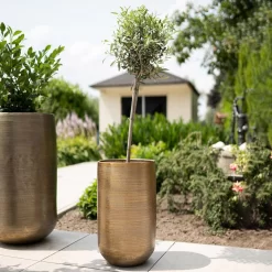 Pflanzgefäß 'Rowen', Gold, Ø 38 X H 62 Cm -Gartengeschäft 3210801630 3210801631 3210801632 3210801633 Pflanzgefaess Rowen gold 4 115017