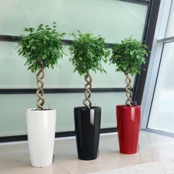 LECHUZA Rondo Premium 40, Weiß Hochglanz, All-in-One-Set, Ø 40 Cm, H:75 Cm