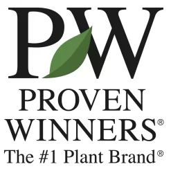 Rote Japanspiere 'Double Play® Red', Spiraea Japonica, Rot, Im Topf 5 Liter -Gartengeschäft Proven winner logo 94942 1