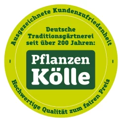 Hibiskus, Graff® 'Petit Orange', Mit Keramiktopf Dallas Weiß, Topf-Ø 13 Cm 12 Hibiskus, Graff® 'Petit Orange', Mit Keramiktopf Dallas Weiß, Topf-Ø 13 Cm -Gartengeschäft qualitaetssiegel pflanzen koelle 3000x3000 70847 54